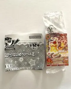 アイカツ！ だれでもアイドル活動アクリルチャーム3 トロピカルバスケット