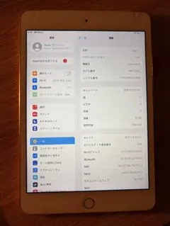 iPadmini 4 16GB