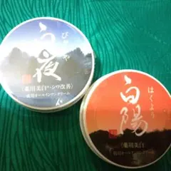 2026年最新】白陽 オールインワンの人気アイテム - メルカリ