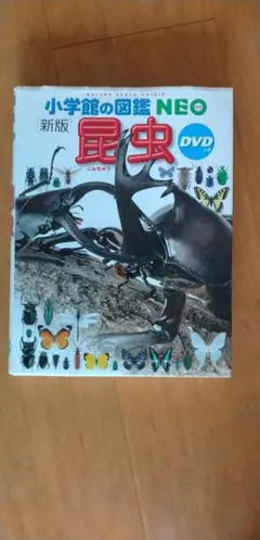 小学館の図鑑 NEO 昆虫 DVD(DVDなし)