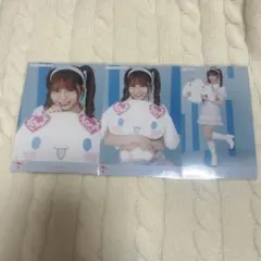 LOVE イコラブ 大場花菜 生写真 シナモロールコラボ2025 コンプ - メルカリ