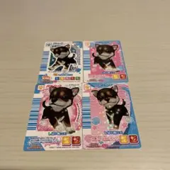 2026年最新】ワンタメの人気アイテム - メルカリ