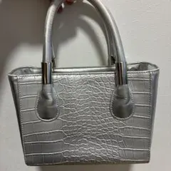 casselini キャセリーニ Wフラップベルトバッグ - メルカリ