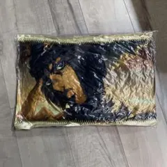 ジョジョの奇妙な冒険　ブチャラティクッション