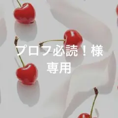 プロフ必読！様専用のサムネイル