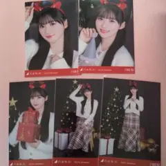 蒼大様 リクエスト 2点 まとめ商品