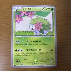 2025年最新】シェイミ cp5の人気アイテム - メルカリ