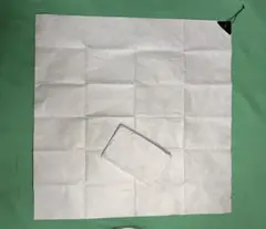 Item thumbnail for item 7bbde9e7-e602-4900-95d7-32e095114589