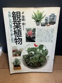 Item thumbnail for item e8b2f307-4532-4288-ac29-9e6082c4ecff