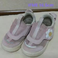 IFME CALIN 花ピンク スニーカー 16.5cm