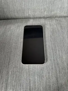 Item thumbnail for item c10dafa7-0aa4-4fe1-ab18-dbae06810550