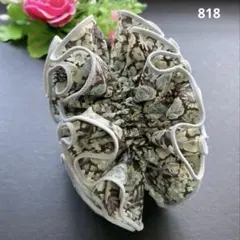 うさこ様 リクエスト 2点 まとめ商品