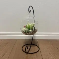 フェイクサボテン　ガラスボール