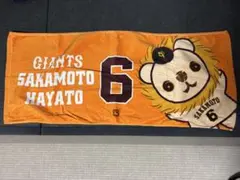 坂本勇人 応援タオル GIANTS 6 ライオンハヤト