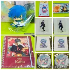 【3/30商品追加】ボカロ【KAITO セット】