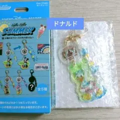 東京ディズニーリゾート キーチェーン ドナルドダックのサムネイル
