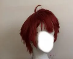 天城一彩 セット済み ウィッグ あんスタ ASSIST - メルカリ