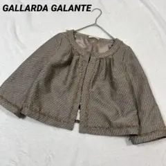 ガリャルダガランテ　ノーカラージャケット　ラメ　　ファーライン　通勤　セレモニーのサムネイル