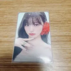 IVE Switch ウォニョン 封入トレカ