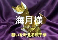 海月様 リクエスト 2点 まとめ商品