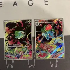 ARフシギダネ・フシギソウカードセット