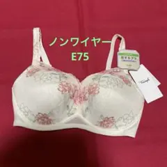 トリンプ　恋するブラ　ノンワイヤー　E75 ホワイト