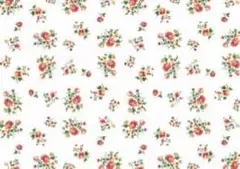 ピコ様専用オーダーネイルチップ