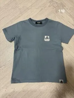 Item thumbnail for item 116ac657-e604-4ee5-bb50-2a7ec132a538