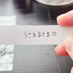 うさまる様専用　ソイネショップ