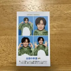 浮所飛貴　証明写真