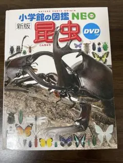 小学校の図鑑 NEO 昆虫 DVD付　新版