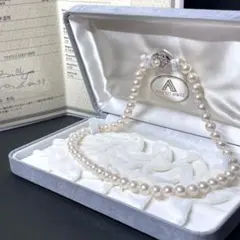 Item thumbnail for item b56fe6a8-0e0b-42d5-a015-896674422dcb