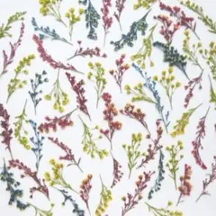 Sary ✿ᵕ̈*様◆【押し花素材】ソリダコ 着色 ♡ （ 792 パーツ ）