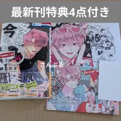 多聞くん今どっち！？ 14巻 特典 アニメイト 特典付き ①