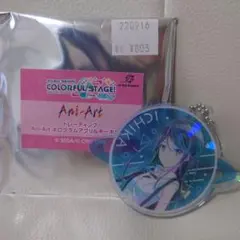 プロセカ　Ani-Art ホログラムアクリルキーホルダー