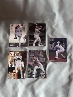 カルビー プロ野球チップス 阪神タイガース カードセット