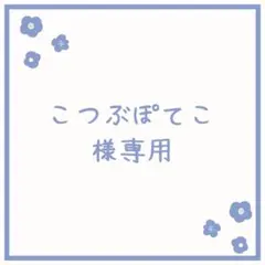 こつぶぽてこ様 リクエスト 2点 まとめ商品