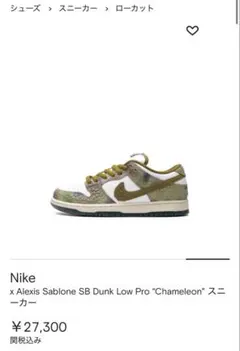 Nike SB Dunk Low Pro 