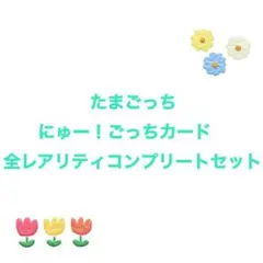 たまごっち ごっちカード にゅー！ごっちカード 全レアリティコンプリートセット