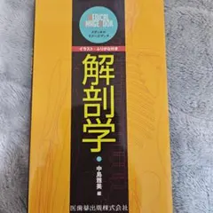 miyayami様 リクエスト 2点 まとめ商品
