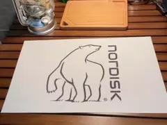 2枚セット アウトドア　テーブルマット　ランチョンマット プレースマット