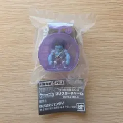 ワンピの実ミクロ　ブリスターチャーム シークレット