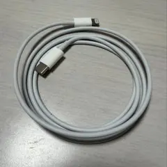 【Apple正規品】 ライトニングケーブル タイプC