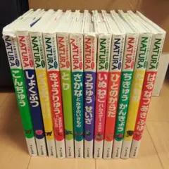 Item thumbnail for item afa1c336-8f2f-494c-b94e-da2d4f631395