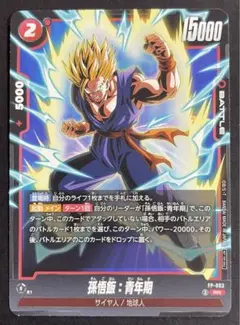 【即日発送】 孫悟飯 青年期 FP-063 プロモ