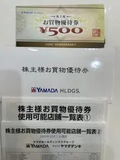 ヤマダ電機　株主様お買物優待券 5000円分