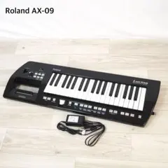 2026年最新】roland lucinaの人気アイテム - メルカリ