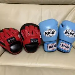 WINDY ボクシンググローブ & MARTIAL WORLD ミット セット