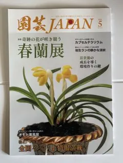 marchtohide様 リクエスト 3点 まとめ商品