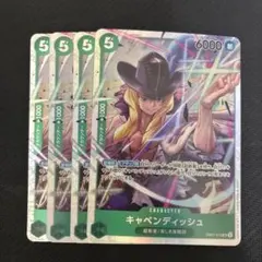 キャベンディッシュ SR EB01-012